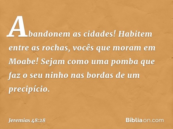 Abandonem as cidades!
Habitem entre as rochas,
vocês que moram em Moabe!
Sejam como uma pomba
que faz o seu ninho
nas bordas de um precipício. -- Jeremias 48:28