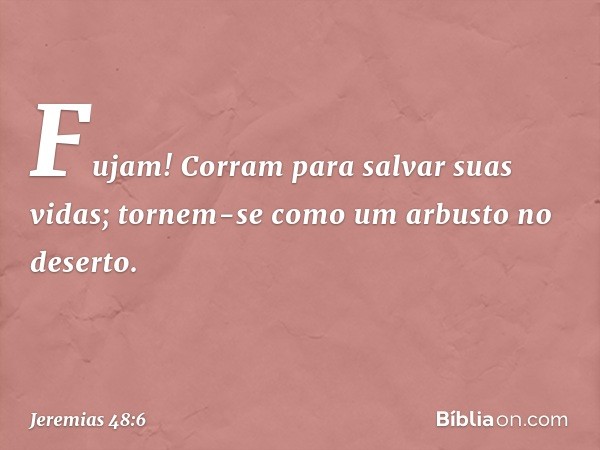 Fujam! Corram para salvar suas vidas;
tornem-se como um arbusto no deserto. -- Jeremias 48:6