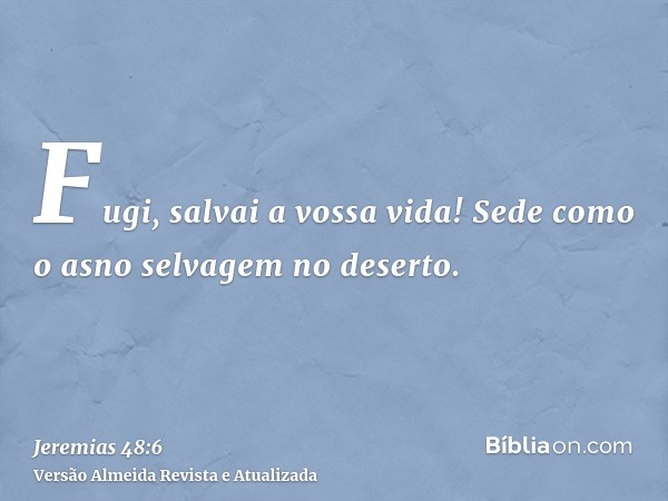 Fugi, salvai a vossa vida! Sede como o asno selvagem no deserto.