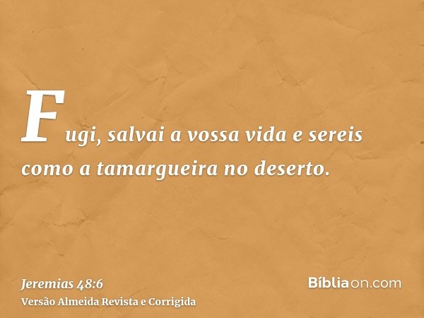 Fugi, salvai a vossa vida e sereis como a tamargueira no deserto.