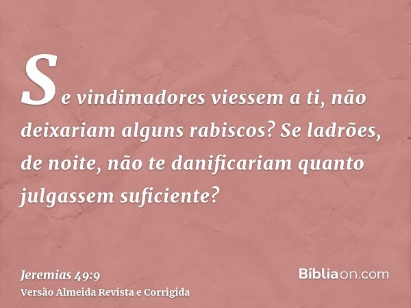 Se vindimadores viessem a ti, não deixariam alguns rabiscos? Se ladrões, de noite, não te danificariam quanto julgassem suficiente?