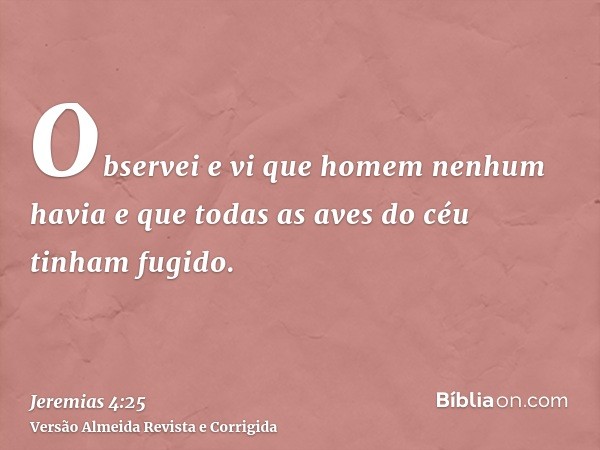 Observei e vi que homem nenhum havia e que todas as aves do céu tinham fugido.