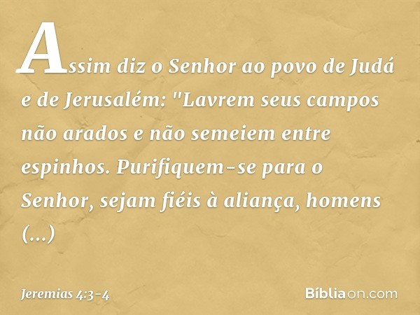 Assim diz o Senhor
ao povo de Judá e de Jerusalém:
"Lavrem seus campos não arados
e não semeiem entre espinhos. Purifiquem-se para o Senhor,
sejam fiéis à alian