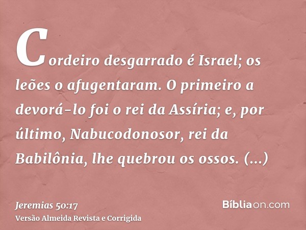 Cordeiro desgarrado é Israel; os leões o afugentaram. O primeiro a devorá-lo foi o rei da Assíria; e, por último, Nabucodonosor, rei da Babilônia, lhe quebrou o