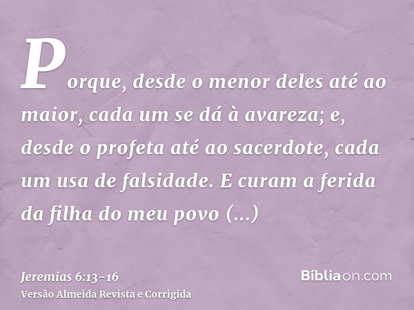 Porque, desde o menor deles até ao maior, cada um se dá à avareza; e, desde o profeta até ao sacerdote, cada um usa de falsidade.E curam a ferida da filha do me