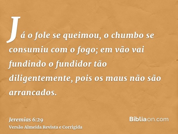 Já o fole se queimou, o chumbo se consumiu com o fogo; em vão vai fundindo o fundidor tão diligentemente, pois os maus não são arrancados.