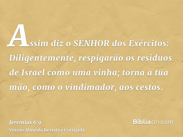 Assim diz o SENHOR dos Exércitos: Diligentemente, respigarão os resíduos de Israel como uma vinha; torna a tua mão, como o vindimador, aos cestos.