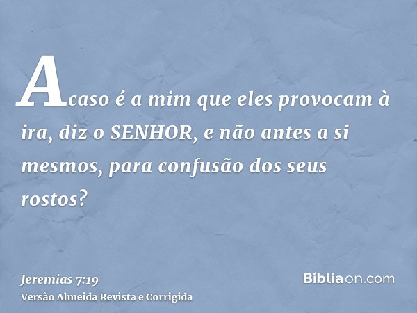 Acaso é a mim que eles provocam à ira, diz o SENHOR, e não antes a si mesmos, para confusão dos seus rostos?