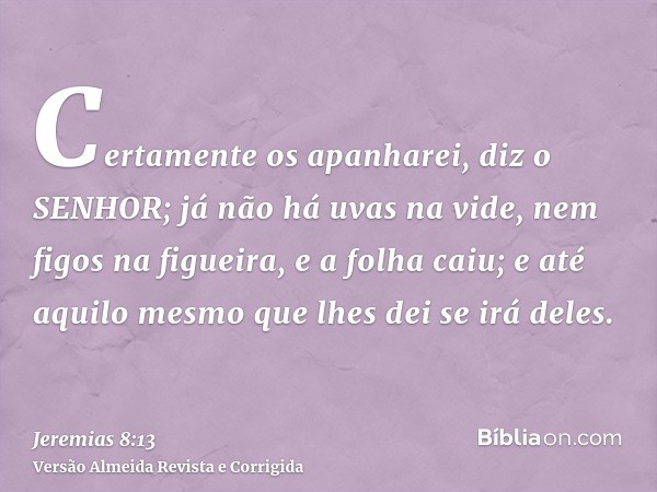 Certamente os apanharei, diz o SENHOR; já não há uvas na vide, nem figos na figueira, e a folha caiu; e até aquilo mesmo que lhes dei se irá deles.