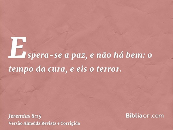 Espera-se a paz, e não há bem: o tempo da cura, e eis o terror.