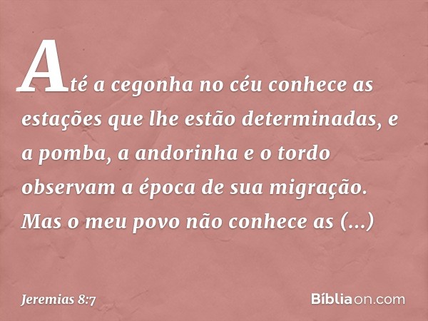 Até a cegonha no céu
conhece as estações
que lhe estão determinadas,
e a pomba, a andorinha e o tordo
observam a época de sua migração.
Mas o meu povo não conhe