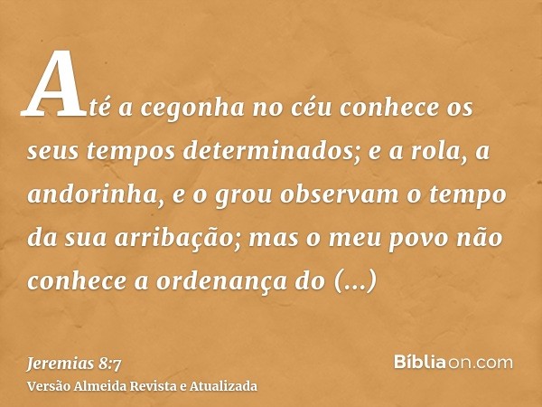 Até a cegonha no céu conhece os seus tempos determinados; e a rola, a andorinha, e o grou observam o tempo da sua arribação; mas o meu povo não conhece a ordena