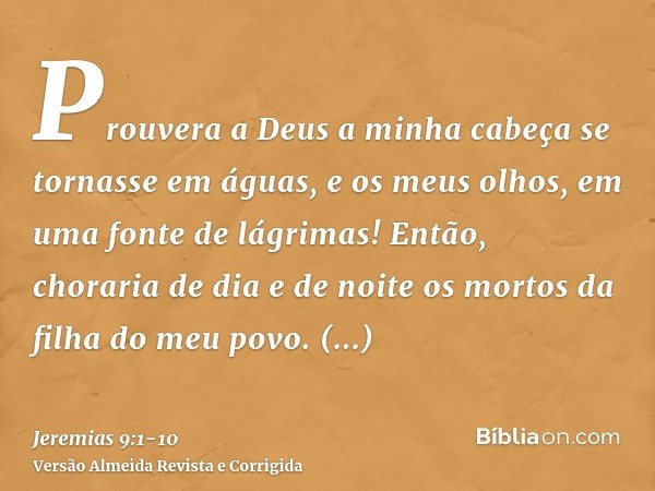 Prouvera a Deus a minha cabeça se tornasse em águas, e os meus olhos, em uma fonte de lágrimas! Então, choraria de dia e de noite os mortos da filha do meu povo