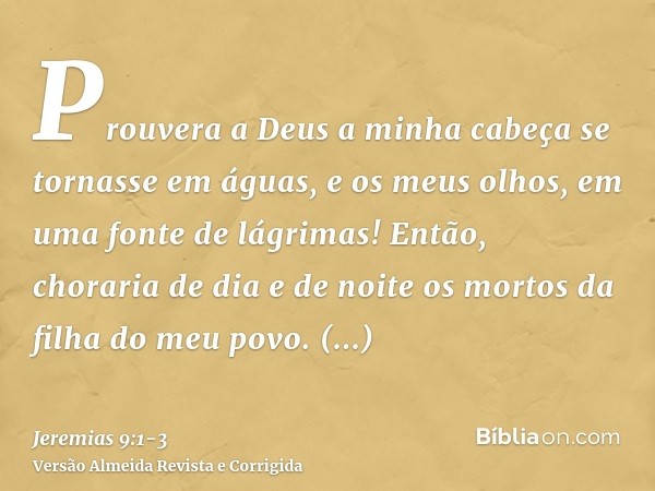 Prouvera a Deus a minha cabeça se tornasse em águas, e os meus olhos, em uma fonte de lágrimas! Então, choraria de dia e de noite os mortos da filha do meu povo