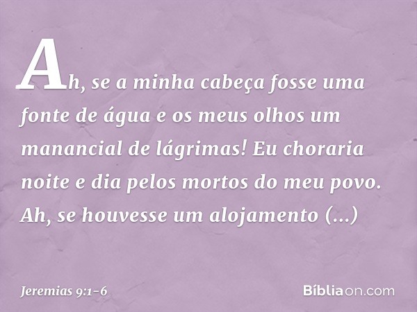 Ah, se a minha cabeça
fosse uma fonte de água
e os meus olhos
um manancial de lágrimas!
Eu choraria noite e dia
pelos mortos do meu povo. Ah, se houvesse um alo