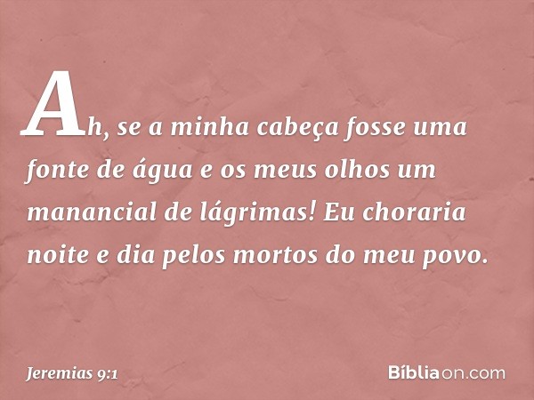 Ah, se a minha cabeça
fosse uma fonte de água
e os meus olhos
um manancial de lágrimas!
Eu choraria noite e dia
pelos mortos do meu povo. -- Jeremias 9:1