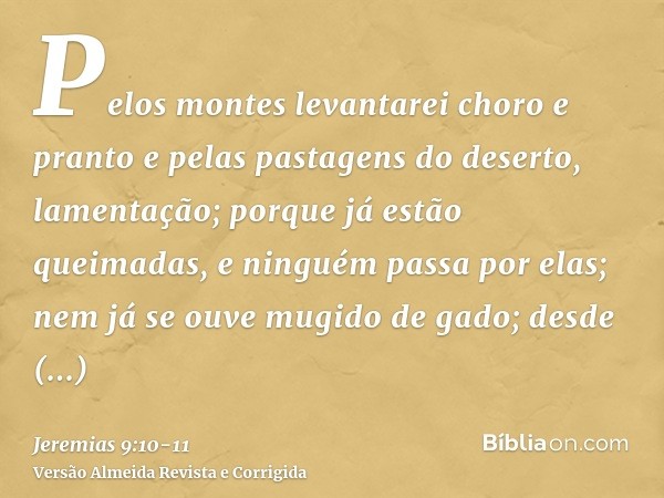 Pelos montes levantarei choro e pranto e pelas pastagens do deserto, lamentação; porque já estão queimadas, e ninguém passa por elas; nem já se ouve mugido de g