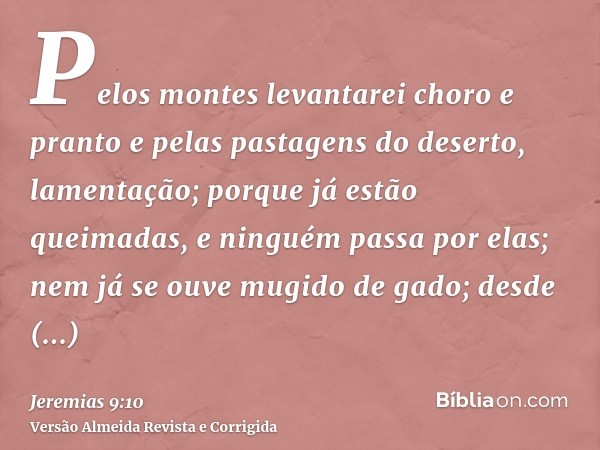 Pelos montes levantarei choro e pranto e pelas pastagens do deserto, lamentação; porque já estão queimadas, e ninguém passa por elas; nem já se ouve mugido de g