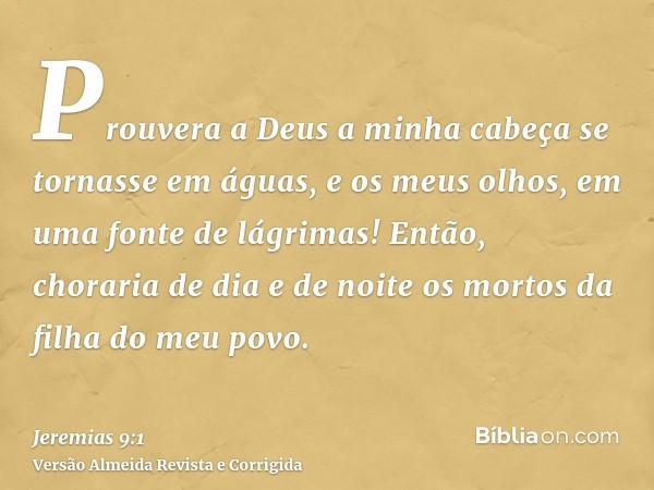 Prouvera a Deus a minha cabeça se tornasse em águas, e os meus olhos, em uma fonte de lágrimas! Então, choraria de dia e de noite os mortos da filha do meu povo