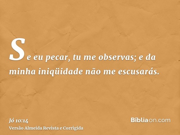 Se eu pecar, tu me observas; e da minha iniqüidade não me escusarás.