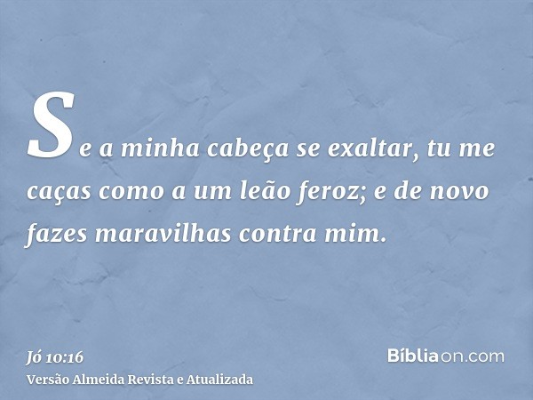 Se a minha cabeça se exaltar, tu me caças como a um leão feroz; e de novo fazes maravilhas contra mim.