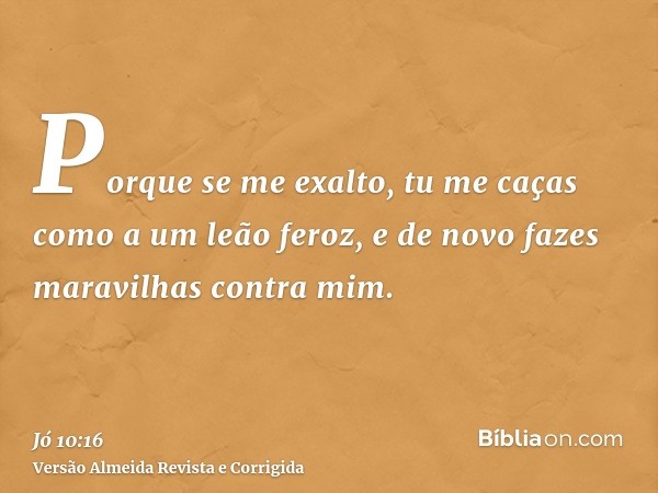 Porque se me exalto, tu me caças como a um leão feroz, e de novo fazes maravilhas contra mim.