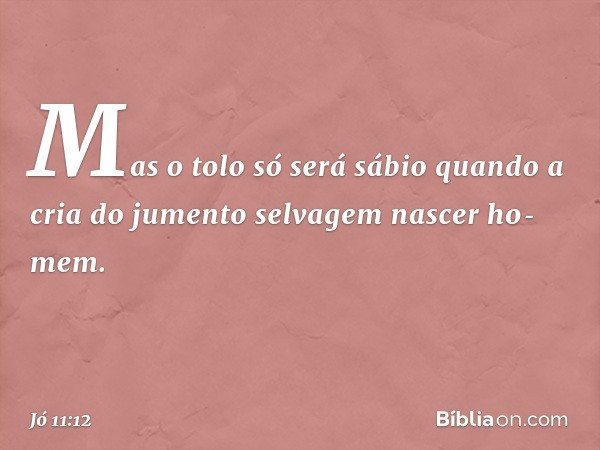 Mas o tolo só será sábio
quando a cria do jumento selvagem
nascer ho­mem. -- Jó 11:12