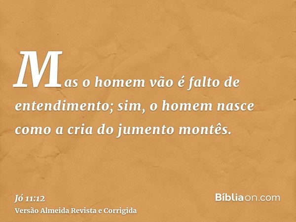 Mas o homem vão é falto de entendimento; sim, o homem nasce como a cria do jumento montês.