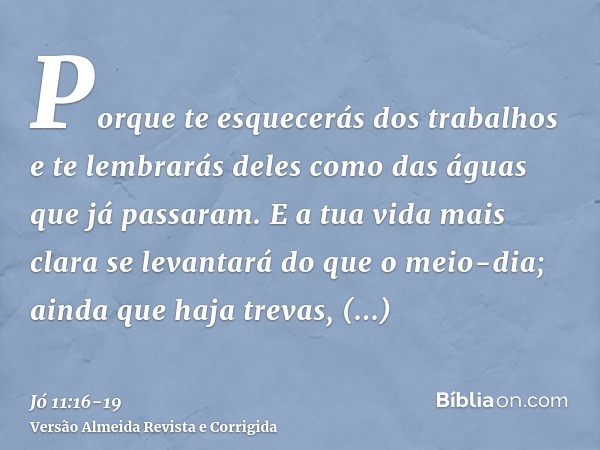 Porque te esquecerás dos trabalhos e te lembrarás deles como das águas que já passaram.E a tua vida mais clara se levantará do que o meio-dia; ainda que haja tr