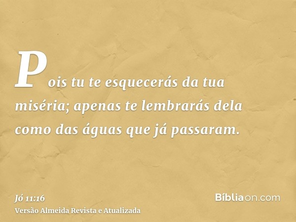 Pois tu te esquecerás da tua miséria; apenas te lembrarás dela como das águas que já passaram.