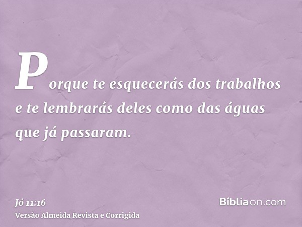 Porque te esquecerás dos trabalhos e te lembrarás deles como das águas que já passaram.