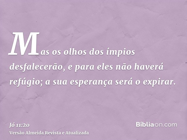 Mas os olhos dos ímpios desfalecerão, e para eles não haverá refúgio; a sua esperança será o expirar.