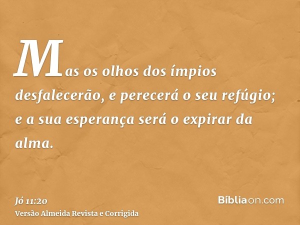 Mas os olhos dos ímpios desfalecerão, e perecerá o seu refúgio; e a sua esperança será o expirar da alma.