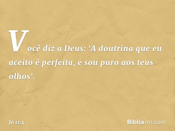 Você diz a Deus:
'A doutrina que eu aceito é perfeita,
e sou puro aos teus olhos'. -- Jó 11:4
