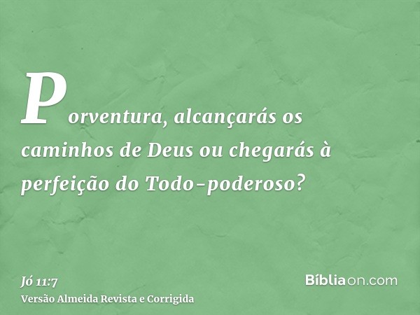 Porventura, alcançarás os caminhos de Deus ou chegarás à perfeição do Todo-poderoso?