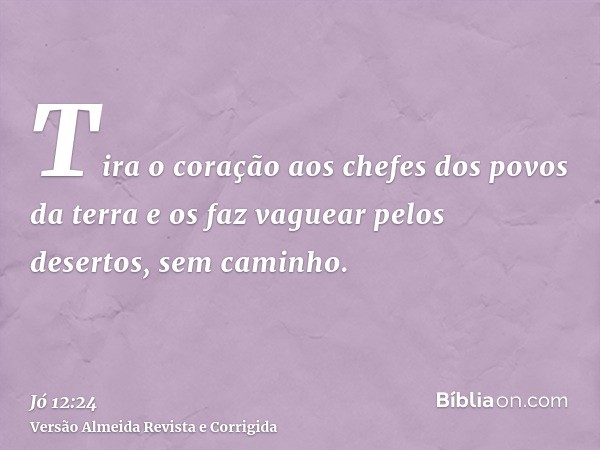 Tira o coração aos chefes dos povos da terra e os faz vaguear pelos desertos, sem caminho.