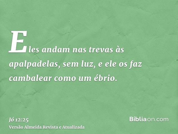 Eles andam nas trevas às apalpadelas, sem luz, e ele os faz cambalear como um ébrio.