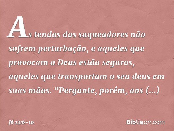 As tendas dos saqueadores
não sofrem perturbação,
e aqueles que provocam a Deus
estão seguros,
aqueles que transportam o seu deus
em suas mãos. "Pergunte, porém