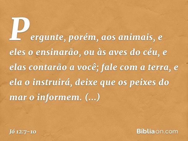 "Pergunte, porém, aos animais,
e eles o ensinarão,
ou às aves do céu, e elas contarão a você; fale com a terra, e ela o instruirá,
deixe que os peixes do mar
o 