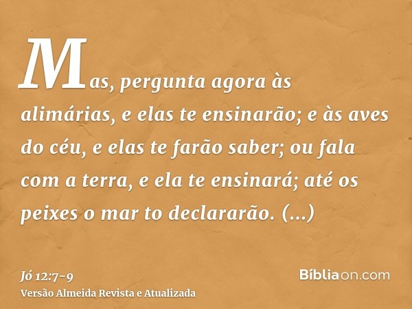 Mas, pergunta agora às alimárias, e elas te ensinarão; e às aves do céu, e elas te farão saber;ou fala com a terra, e ela te ensinará; até os peixes o mar to de