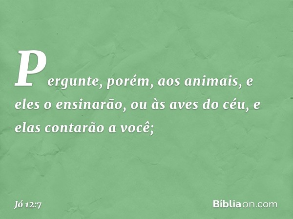 "Pergunte, porém, aos animais,
e eles o ensinarão,
ou às aves do céu, e elas contarão a você; -- Jó 12:7