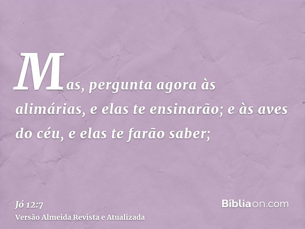 Mas, pergunta agora às alimárias, e elas te ensinarão; e às aves do céu, e elas te farão saber;