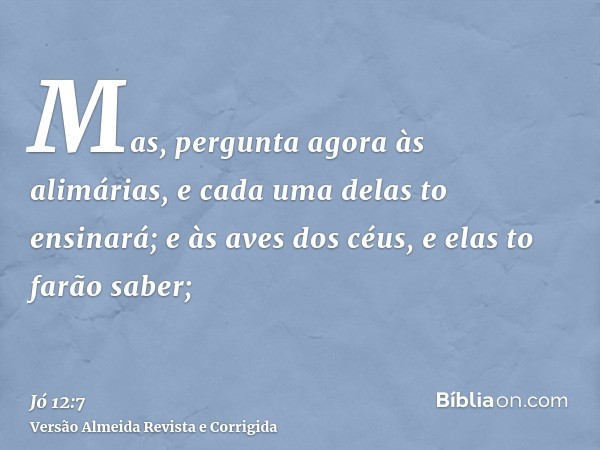Mas, pergunta agora às alimárias, e cada uma delas to ensinará; e às aves dos céus, e elas to farão saber;