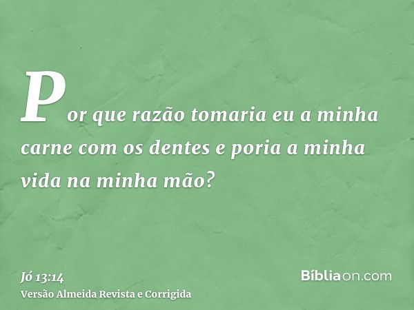Por que razão tomaria eu a minha carne com os dentes e poria a minha vida na minha mão?