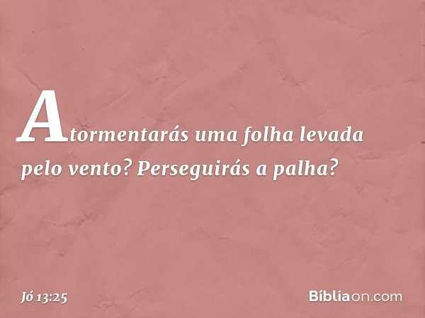 Atormentarás uma folha
levada pelo vento?
Perseguirás a palha? -- Jó 13:25