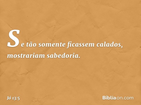 Se tão somente ficassem calados,
mostrariam sabedoria. -- Jó 13:5