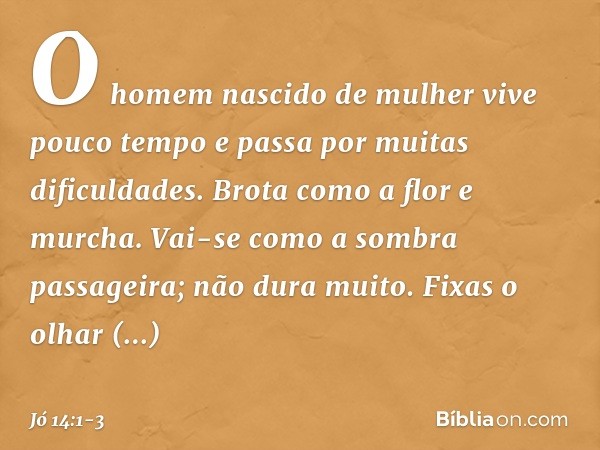 "O homem nascido de mulher
vive pouco tempo
e passa por muitas dificuldades. Brota como a flor e murcha.
Vai-se como a sombra passageira;
não dura muito. Fixas 
