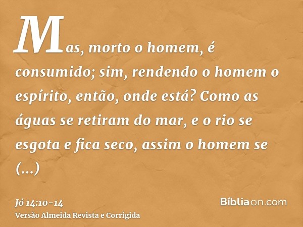 Mas, morto o homem, é consumido; sim, rendendo o homem o espírito, então, onde está?Como as águas se retiram do mar, e o rio se esgota e fica seco,assim o homem