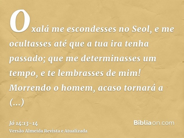 Oxalá me escondesses no Seol, e me ocultasses até que a tua ira tenha passado; que me determinasses um tempo, e te lembrasses de mim!Morrendo o homem, acaso tor