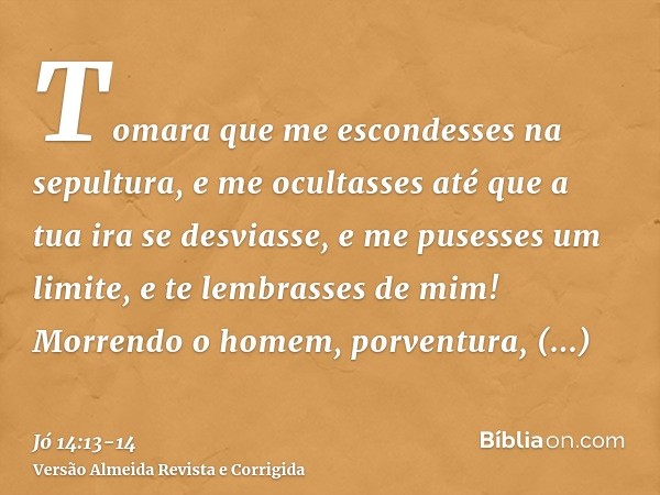 Tomara que me escondesses na sepultura, e me ocultasses até que a tua ira se desviasse, e me pusesses um limite, e te lembrasses de mim!Morrendo o homem, porven